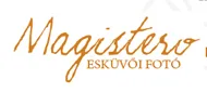 Logo reference magi
